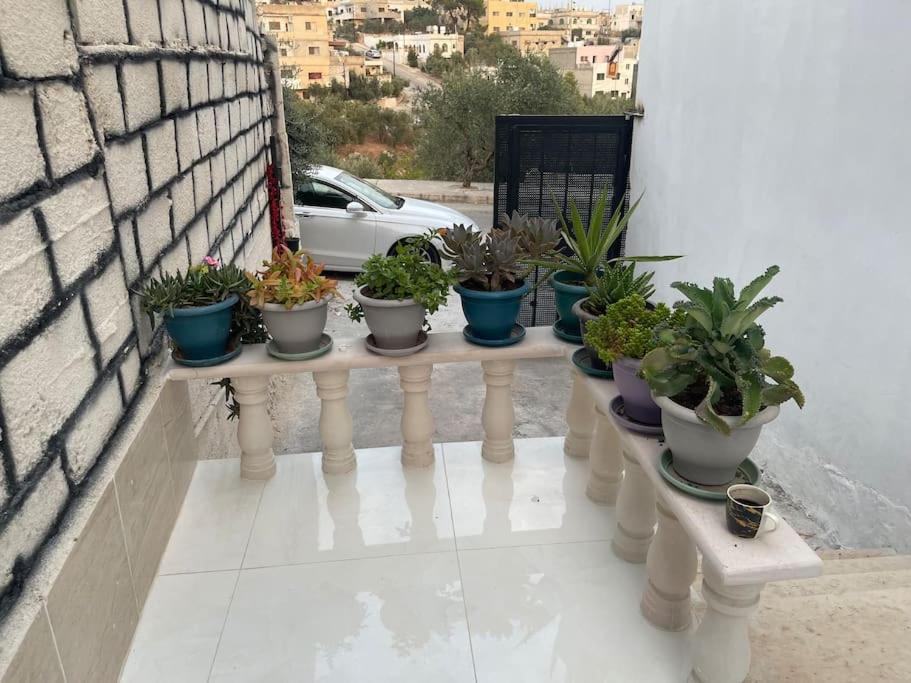 Beit Al Hasan بيت الحسن