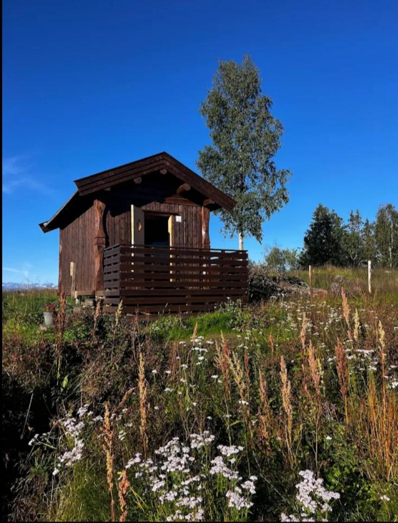 small camping cabbin with shared bathroom and kitchen near by photo 2