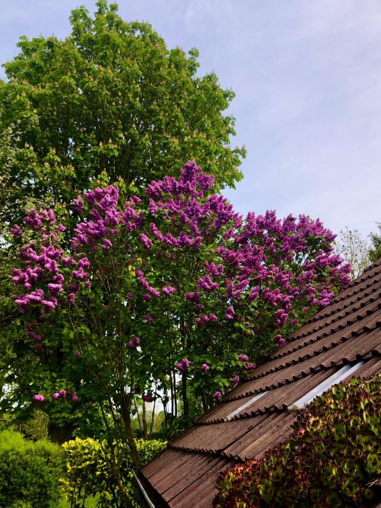 Naturparadies in Aurich photo 2