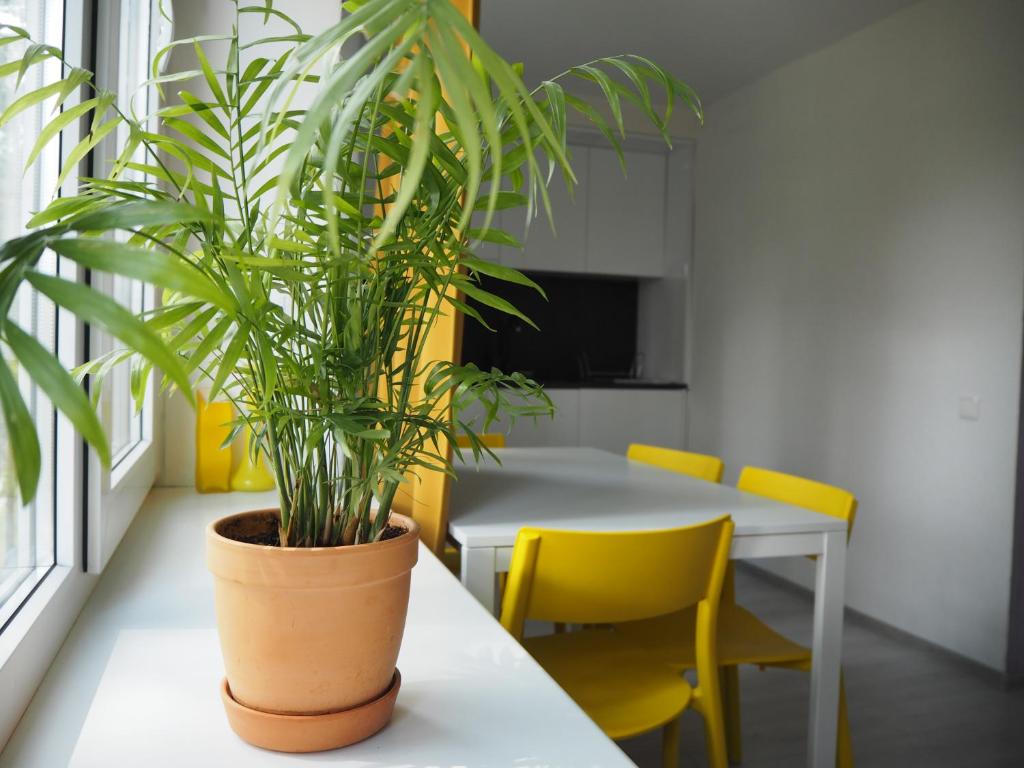 Sunny apartment with lake and forest view photo 2