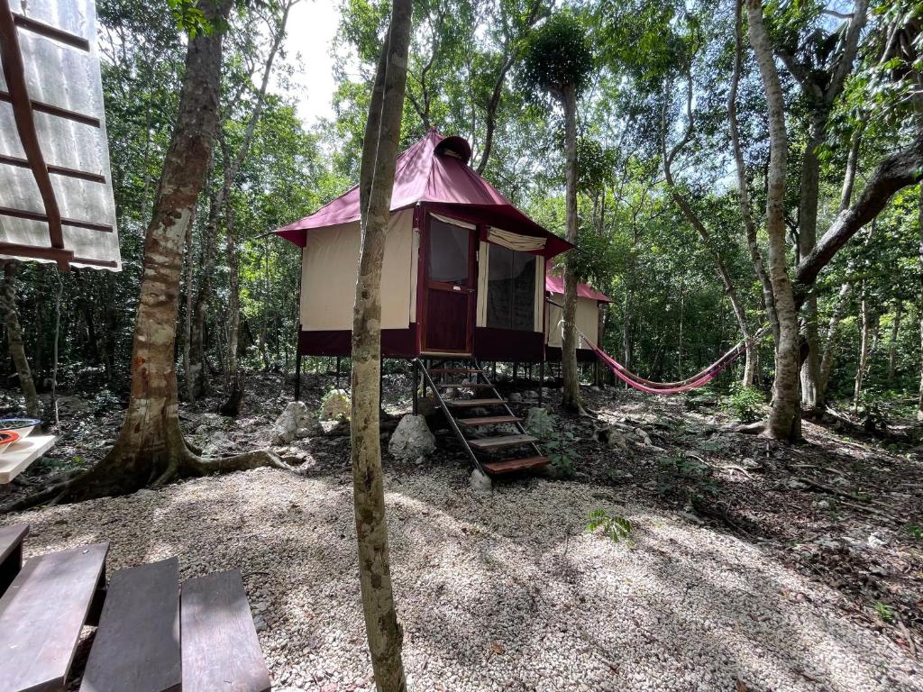 Magical jungle Eco Cabana -Tulum photo 1