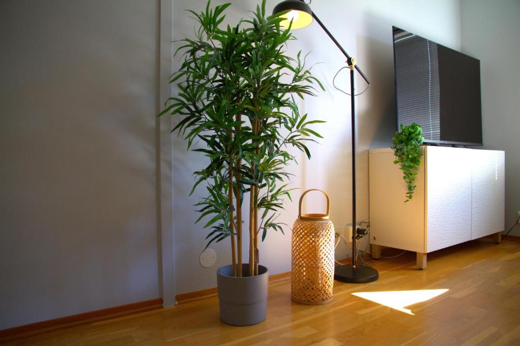 Moon apartment near the Centre ! Free parking available ! photo 4