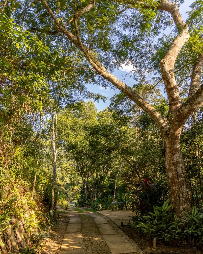 La Luciole Ecolodge photo 1