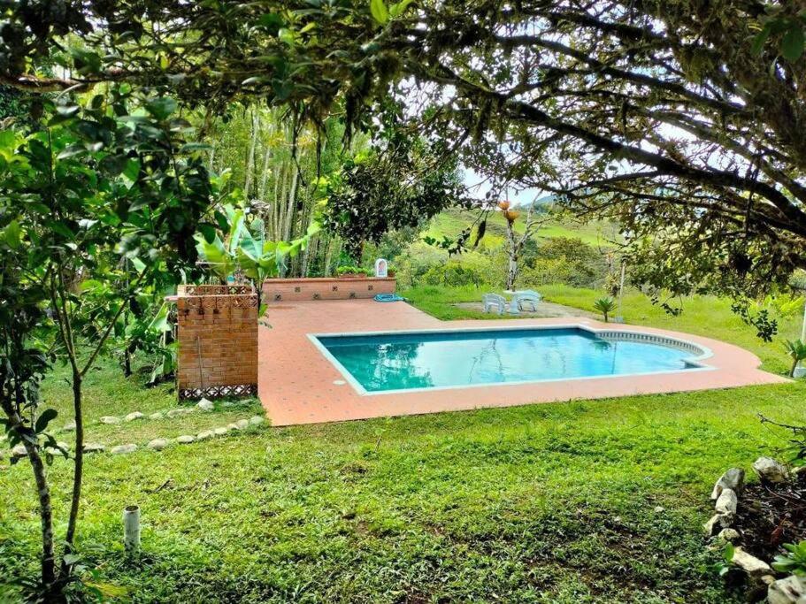 Villa Natalia Finca Ecologica photo 3