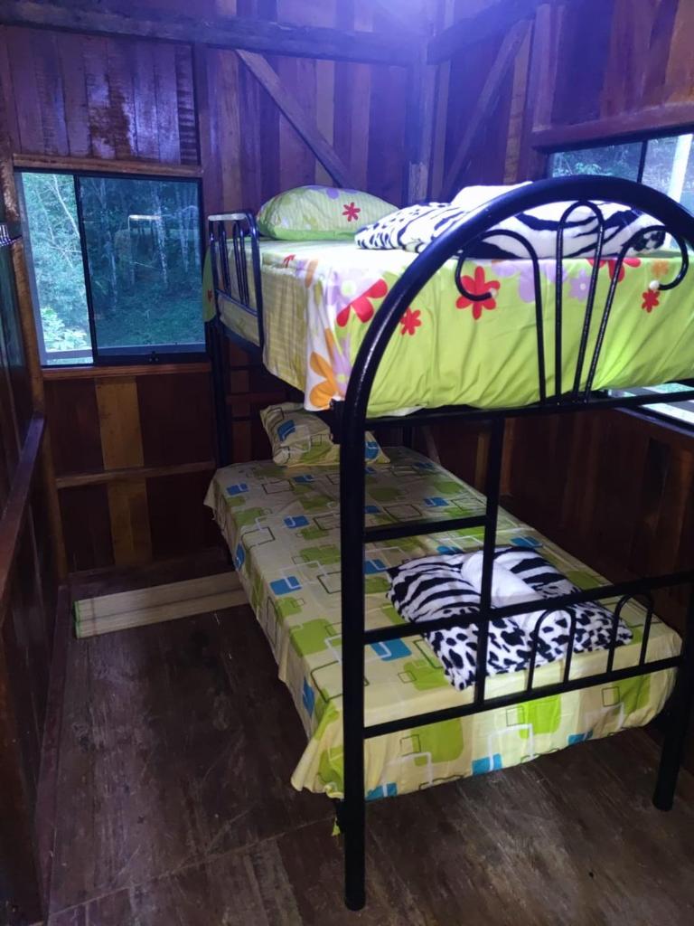 Refugio Selvático Tingo photo 2