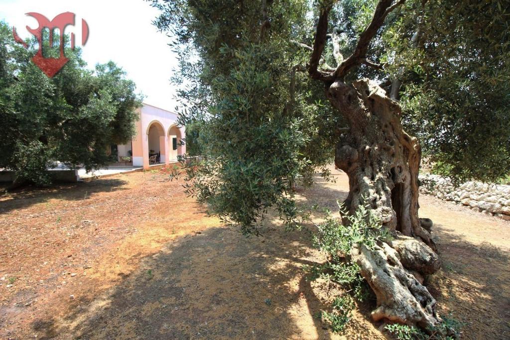 La Cupa - Torre Vado photo 4