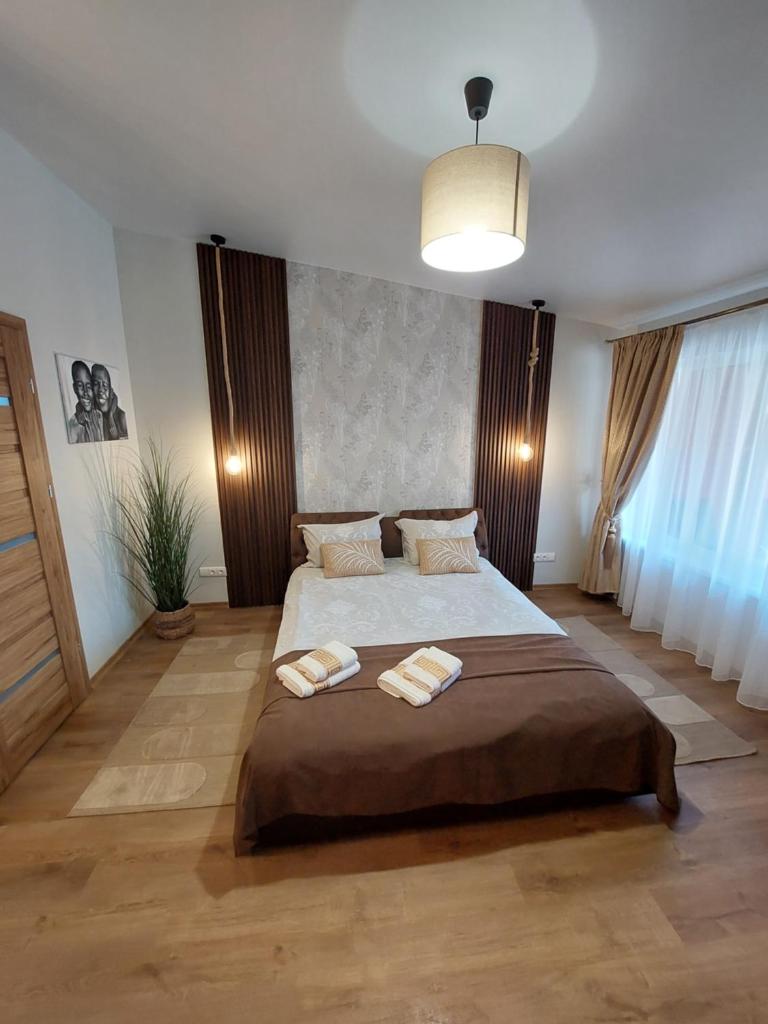 Lapių Ola photo 2
