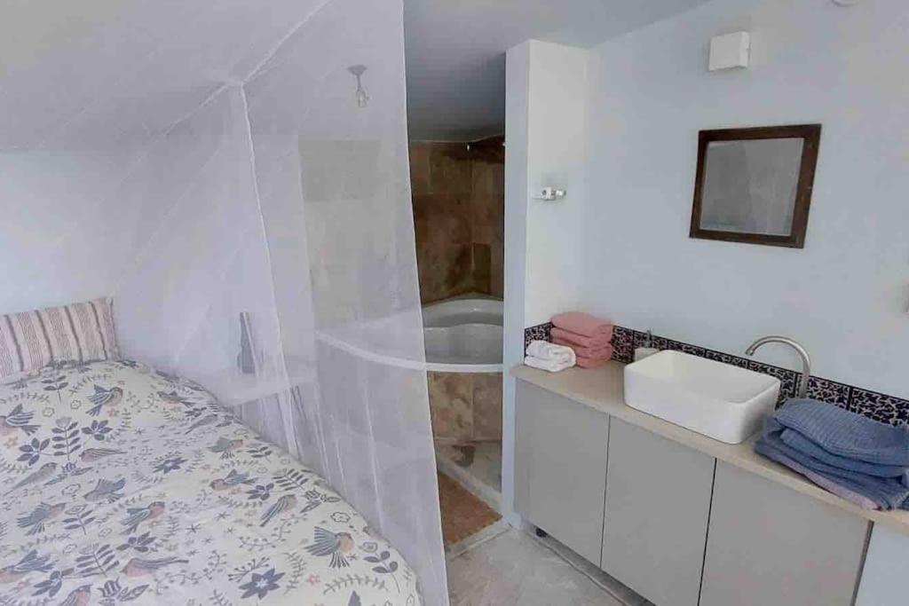 Passiflora Suite photo 4