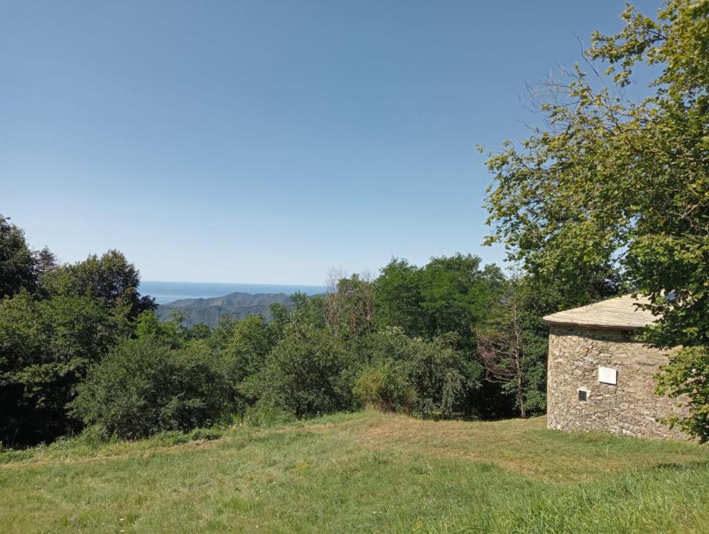 Faggio Rotondo photo 1
