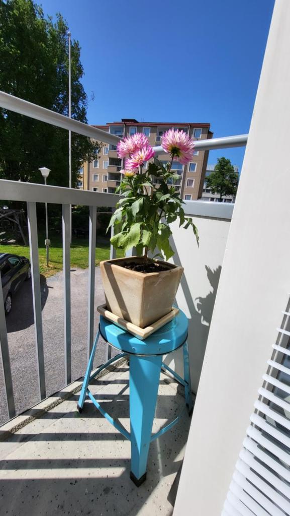 Peaceful and beautiful apartment in Hämeenlinna photo 3