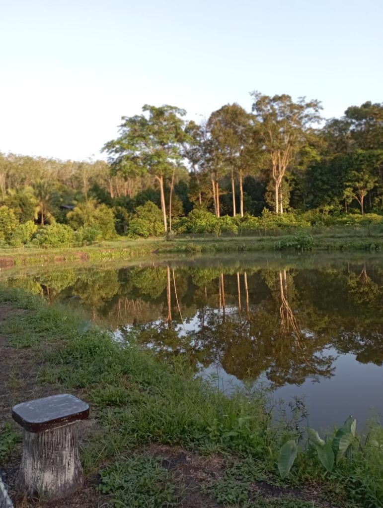 Dusun Rimbun Agro Farmstay 2 photo 1