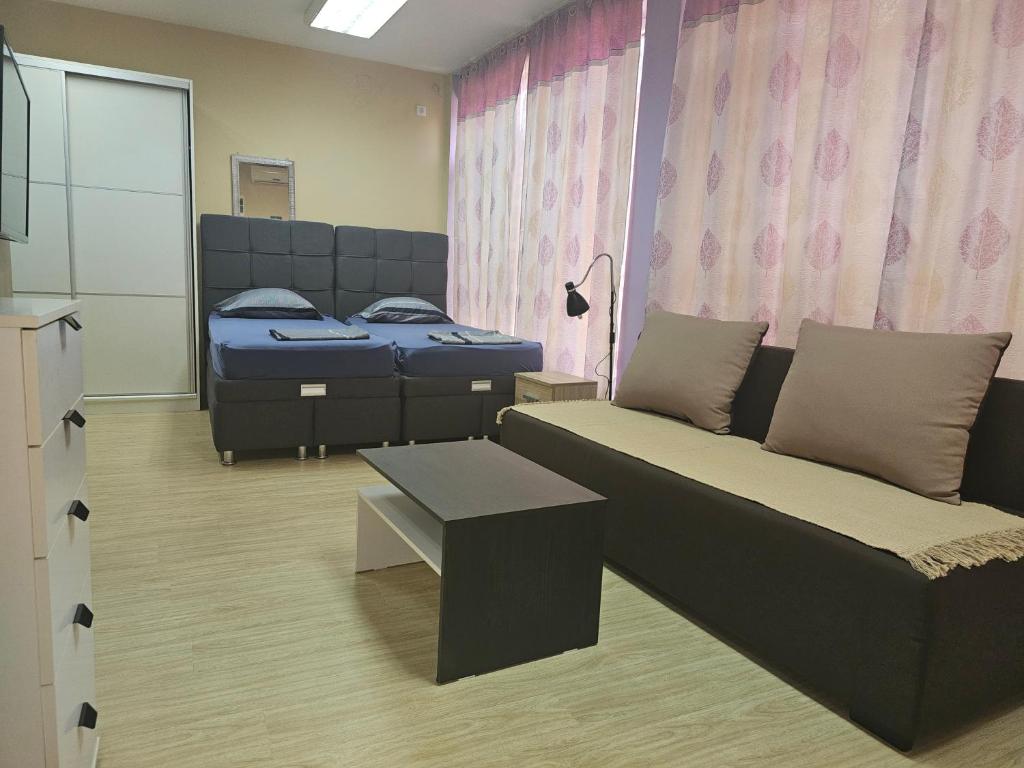 LENI apartman u centru Zajecara photo 4