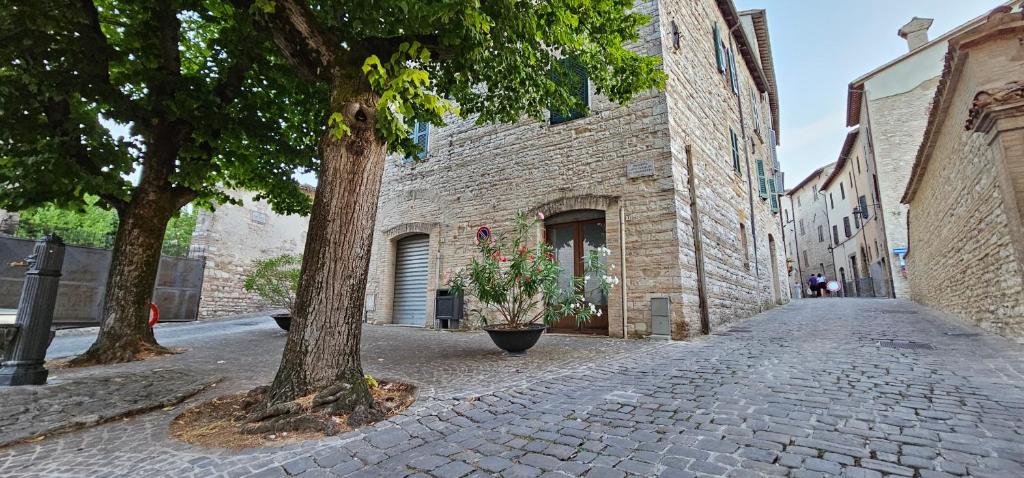 La casa di Francesco photo 4