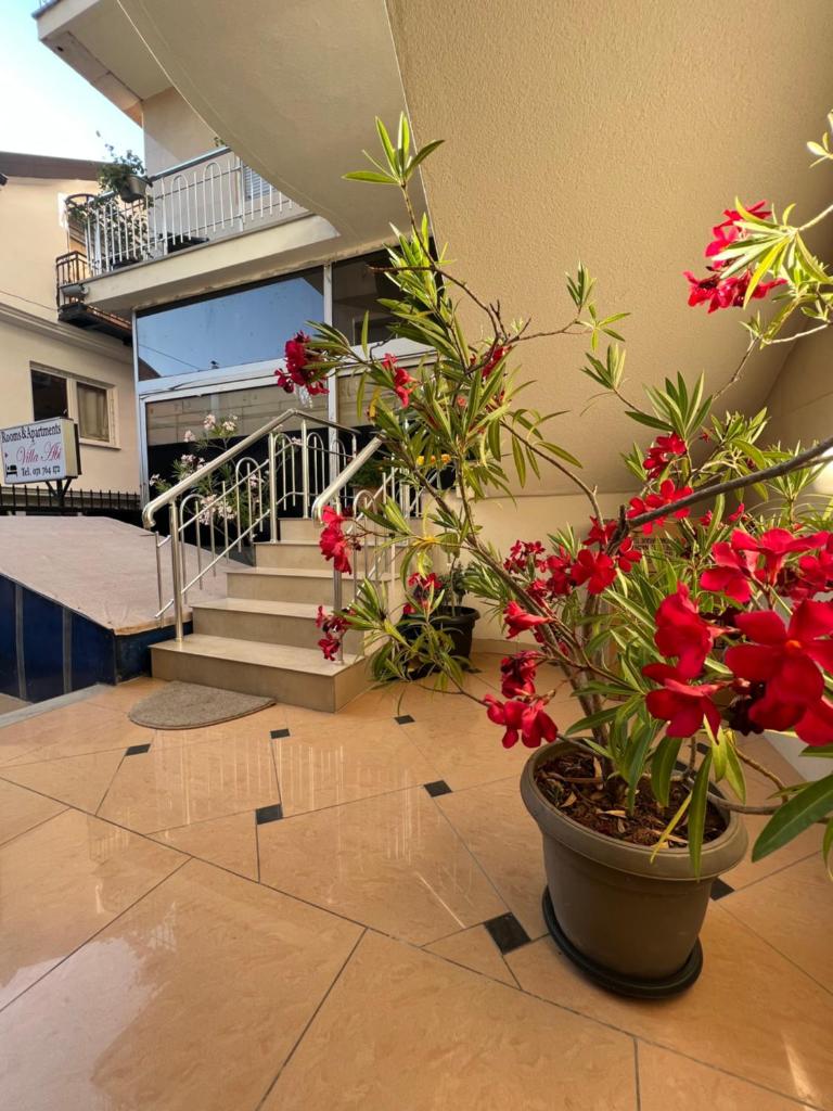 Villa Abi Center photo 2