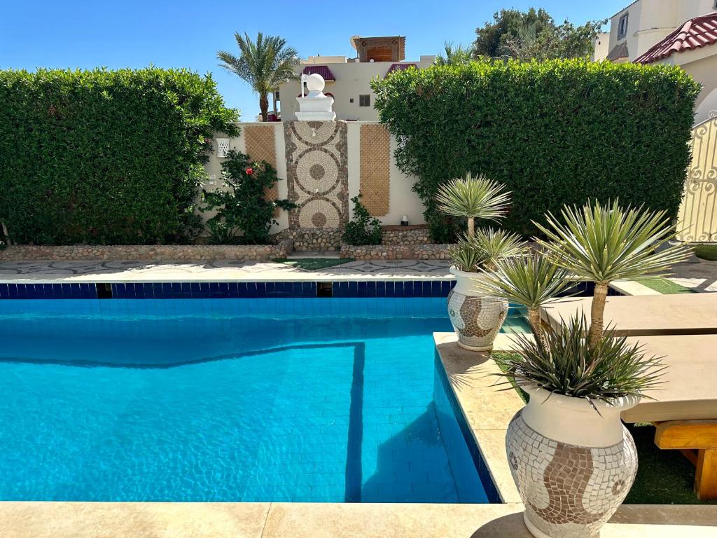 Ground Floor Apartment In Villa With Private Pool And Private Garden photo 3