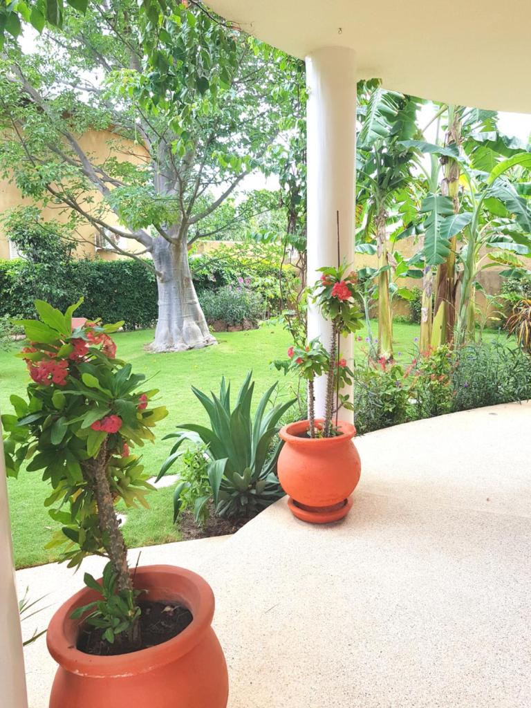 Villa Type Africaine photo 2