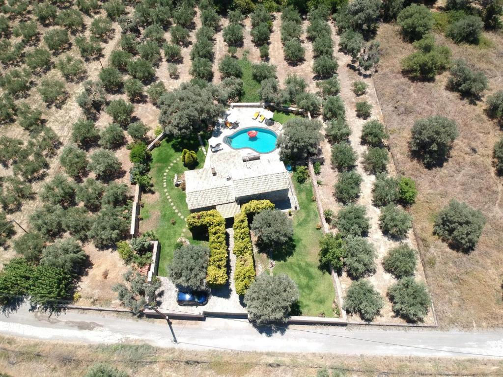 ANTIOPI VILLA photo 1