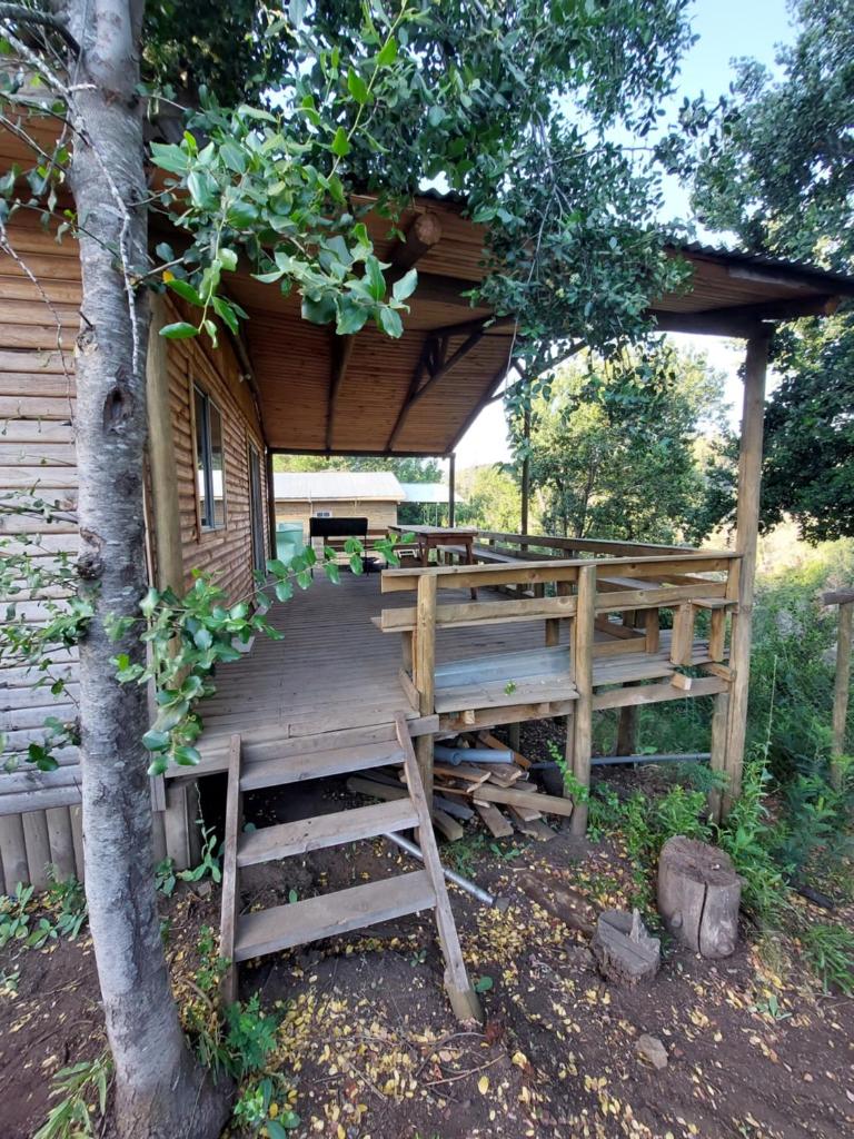 Cabañas oasis, radal 7 tazas photo 3