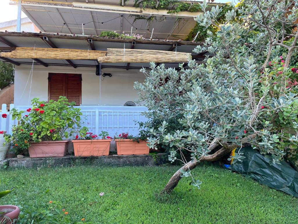 Casa Stewart - Ponente photo 3