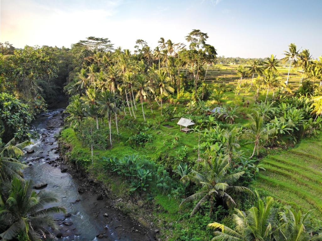 Villa with amazing rice field view between Canggu and Ubud photo 3