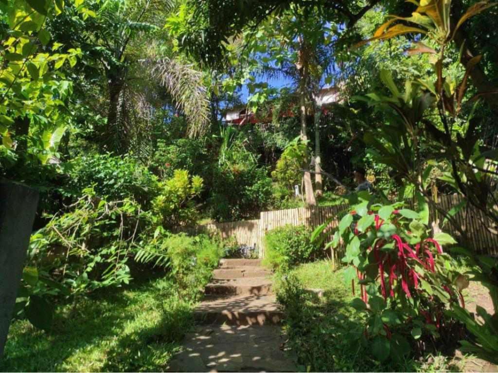 Moemoea Lodge photo 1