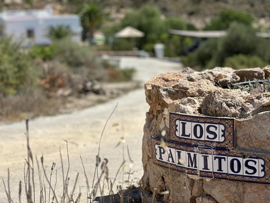 Los Palmitos photo 2