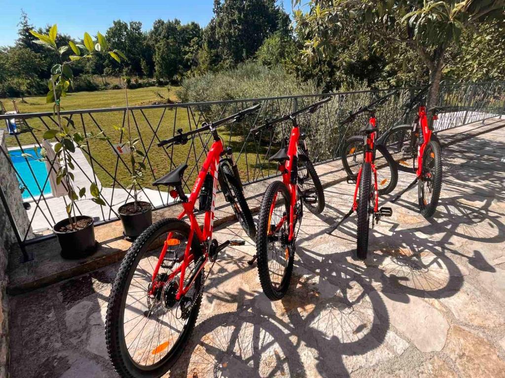 Holiday home Casa dei nonni with bicycles included photo 2