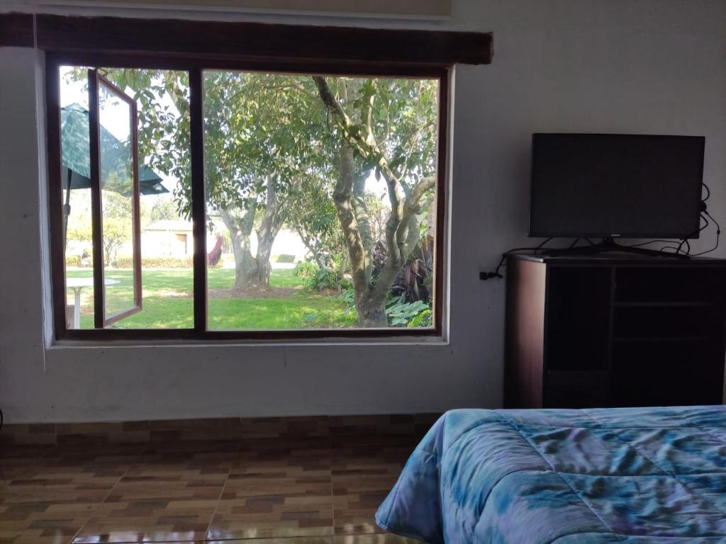 Hakunarcoco mini suite photo 2