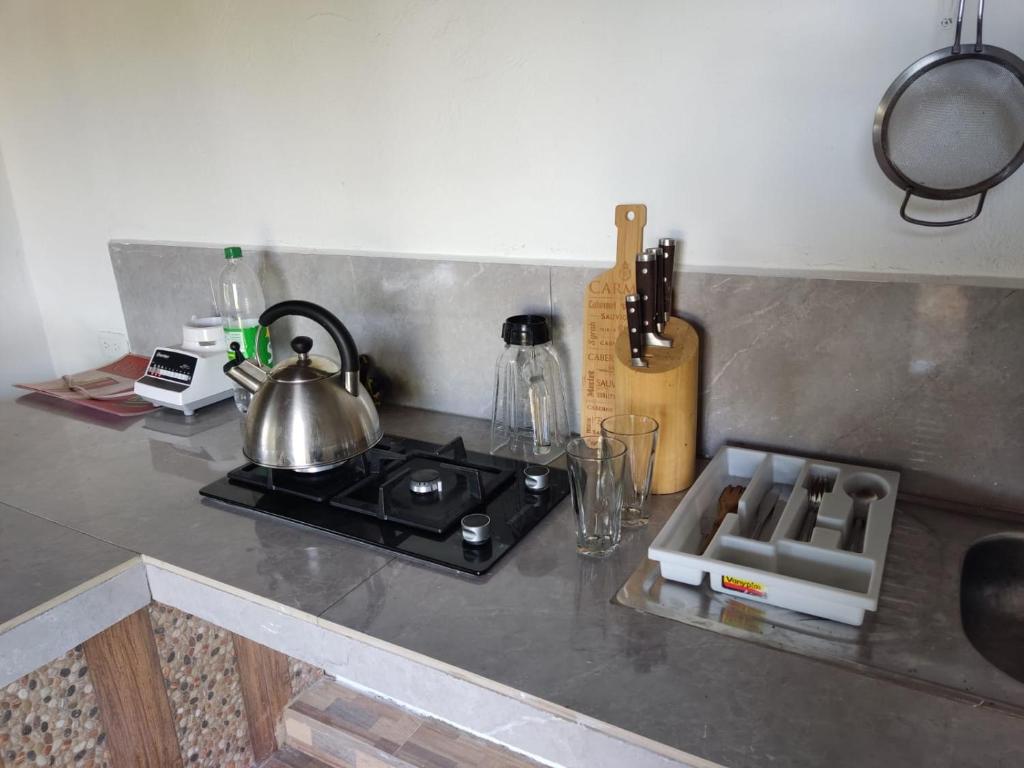 Hakunarcoco mini suite photo 4