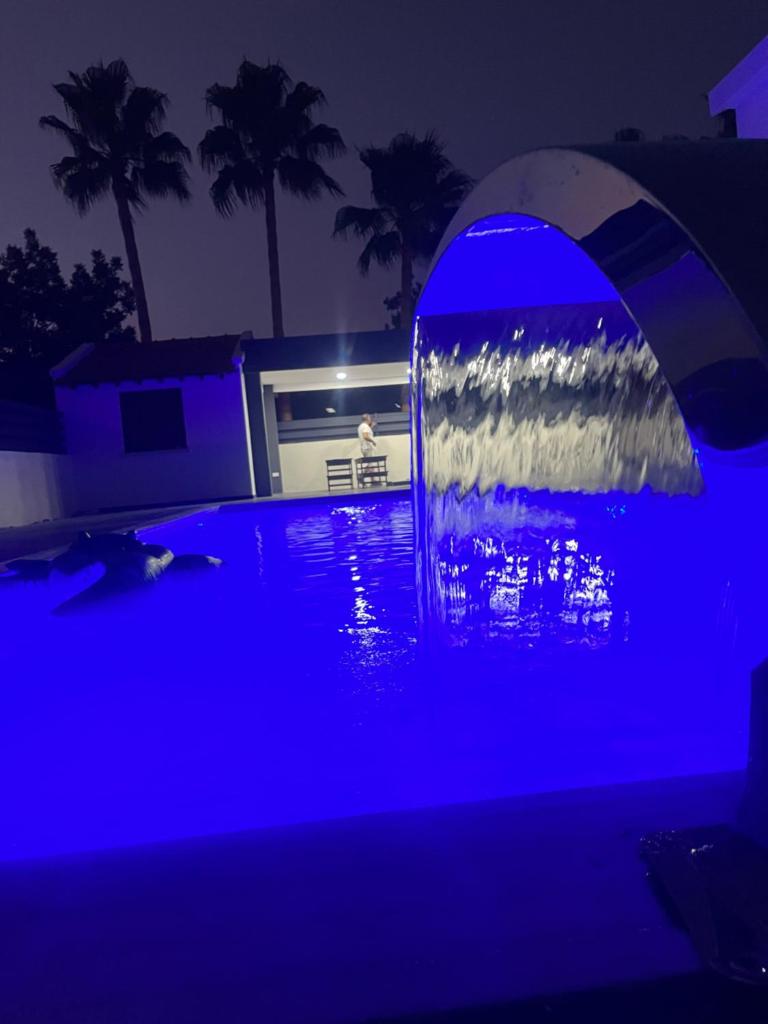 Palm Villa photo 1