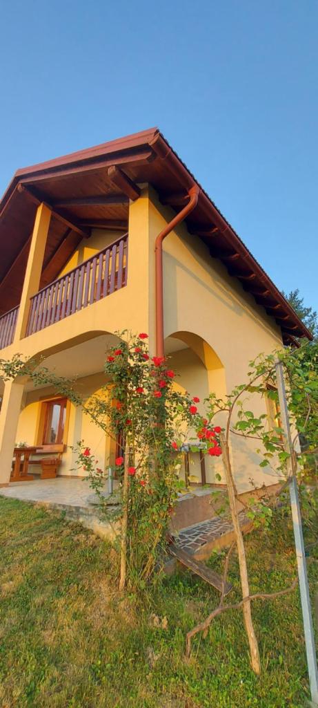 Holiday house and apartments Vale photo 2