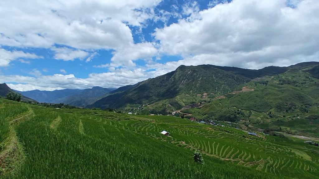 sapa eco terraces