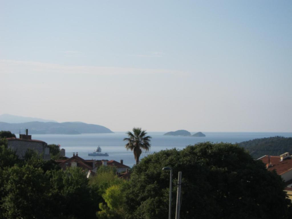 Guest House Maria Bilicic photo 3