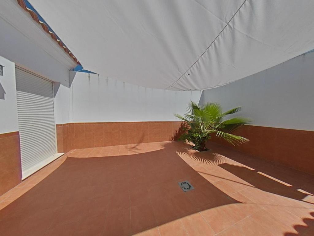 CASA ROSAL photo 4