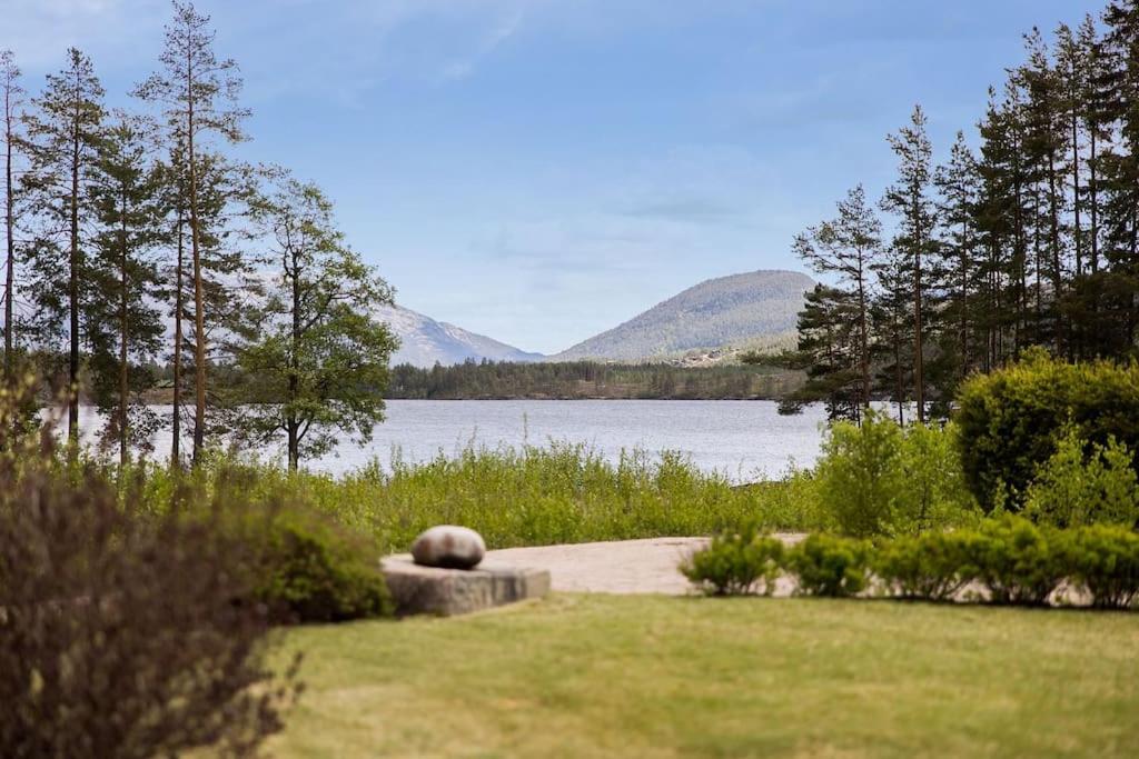 Cozy cabin w/garden, BBQ, canoe, swimming, central photo 1