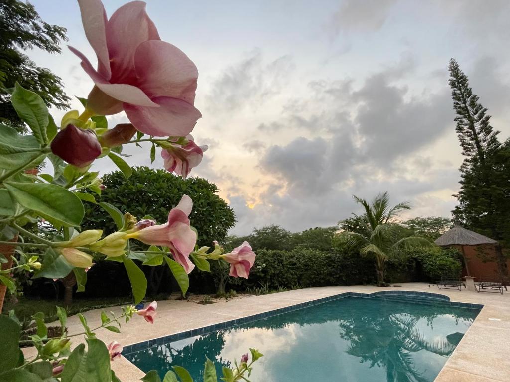 Teranga house photo 3