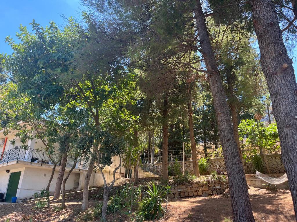Casa vacanze : Villa sally photo 2