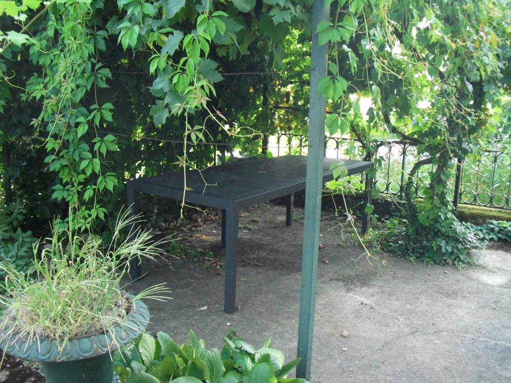 la quatorze photo 2