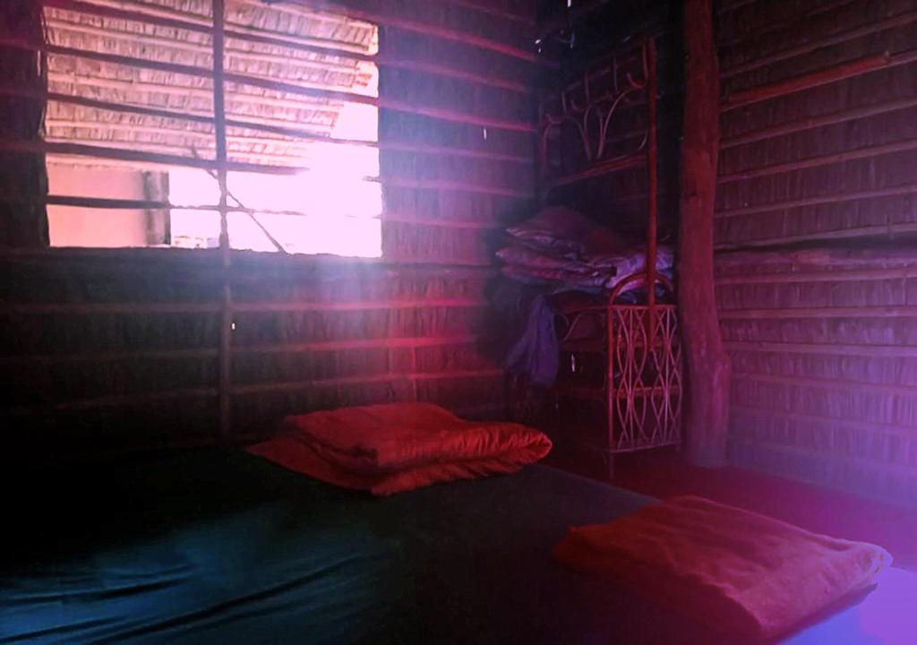 Palm Leaf Homestay photo 3