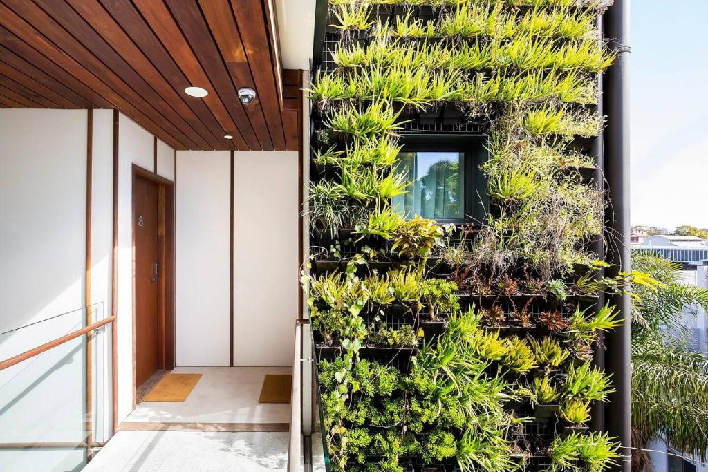 'The Fern' Split-level Eco Luxury in Alexandria photo 4