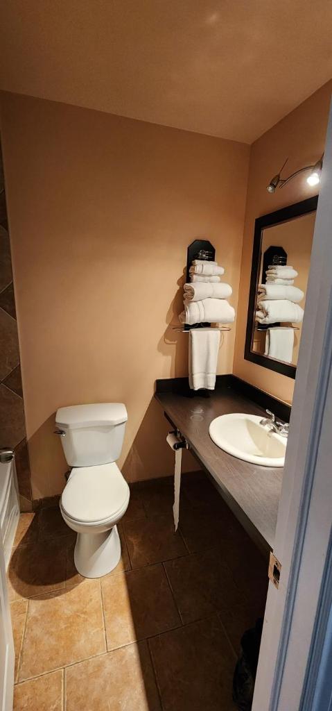 VIKING INN photo 1