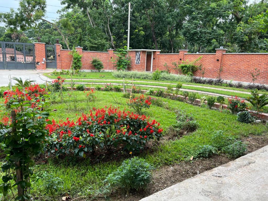 Yahiya photo 2
