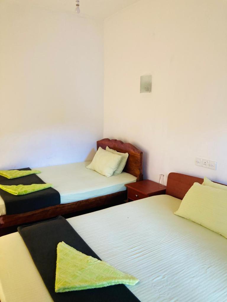 Silent Nest photo 1