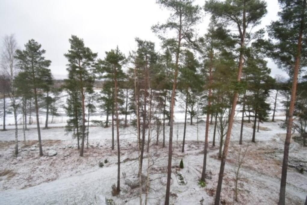 Tilava kolmio upealla järvinäköalalla 3h+k photo 3