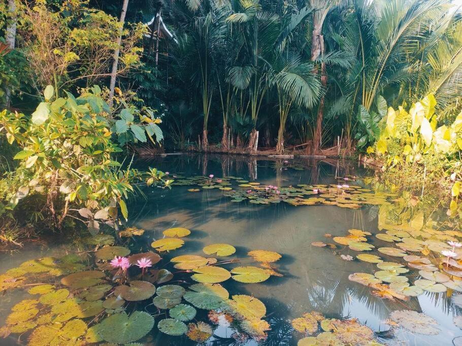 Remote Home near Secret Lagoon with Motorcycle photo 1