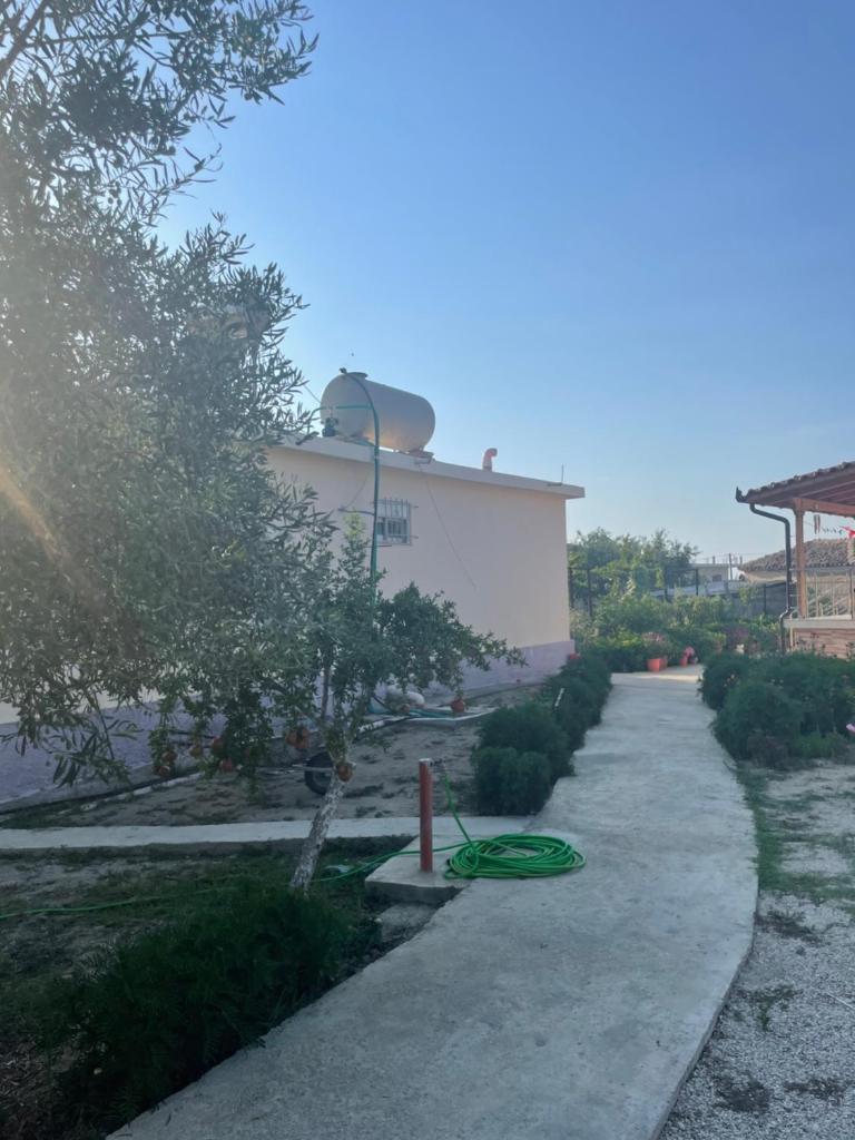 Cathrin’s villas and apartments photo 3