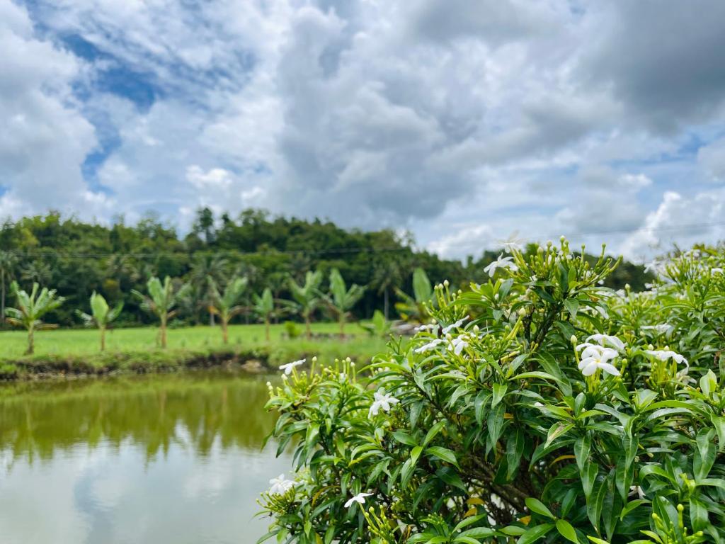 Jazz Ferme Inn Batuan Bohol photo 4