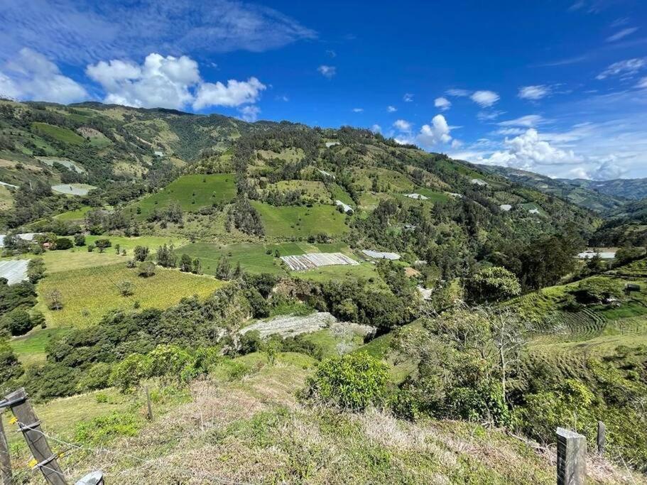 Los Espinos alojamiento agroturistica - pareja o familia pequeña photo 3