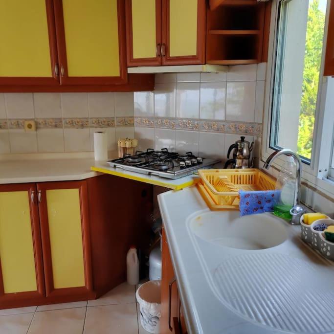 Yemyeşil tertemiz havalı köy evi photo 2
