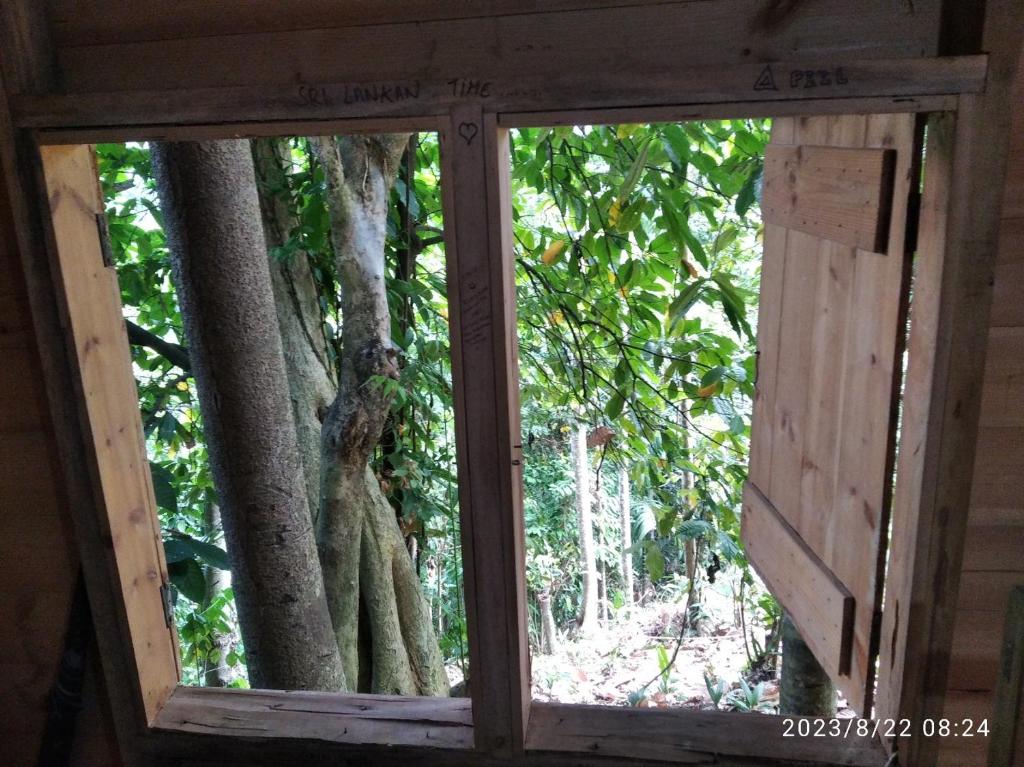 Spiritual Nature Farm - Sri Lanka photo 1